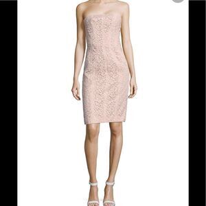 Corded Lace Sheath J. Mendel color Blush